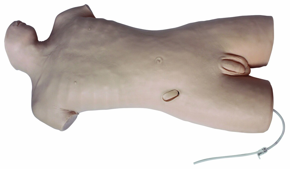 XC-464A WHOLE BODY ABDOMINAL PUNCTURE MODEL